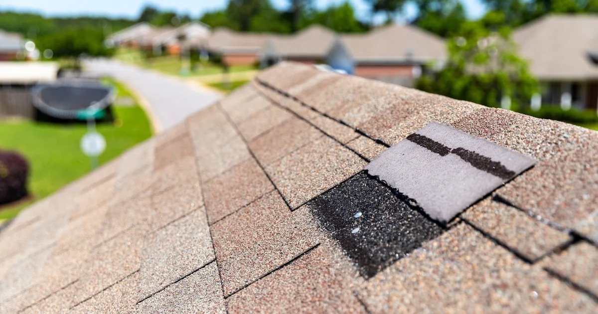 Close-up of a roof with one asphalt shingle lifting, showing early signs of damage or wear.